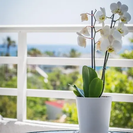 Hotelli Essential Summer (adults Only)