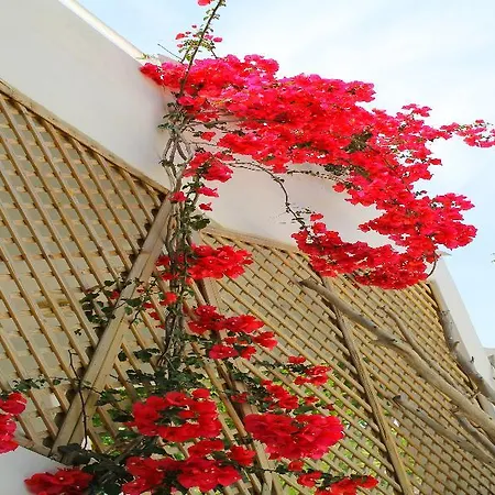 Melody Hotel apartamentowy Faliraki