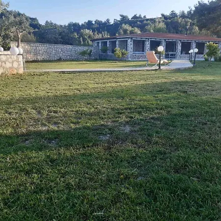 Oasis