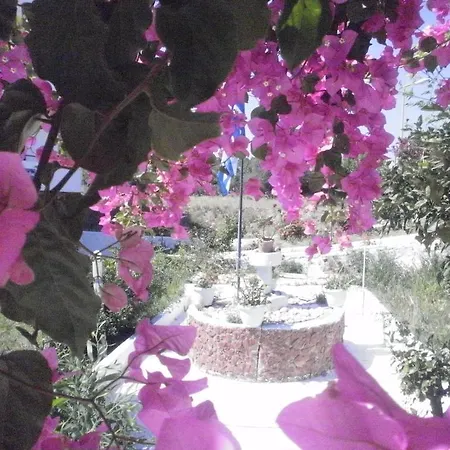 Lägenhetshotell Tassos Faliraki