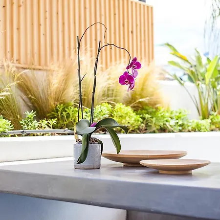 Len Art Selected Apartment Faliraki