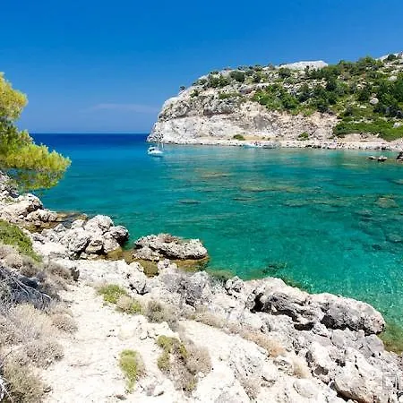Iatridis (adults Only) *