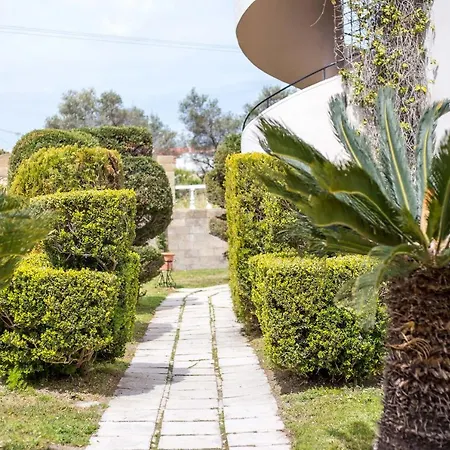 Hotel Jimmy's Garden 3*