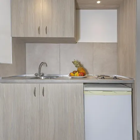 Apartment Vergina Sun *