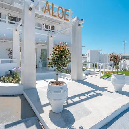 Aloe - Adults Only 4* Faliraki