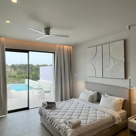 The Palms Concept Adults Only 16
