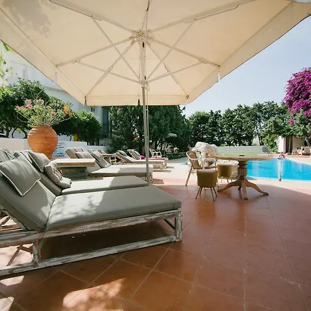 Apartament Gorgona