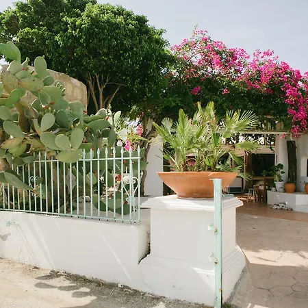 Gorgona Apartament