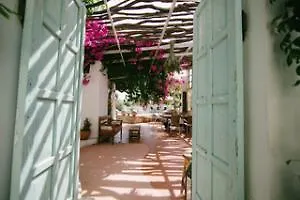 Gorgona Apartament *