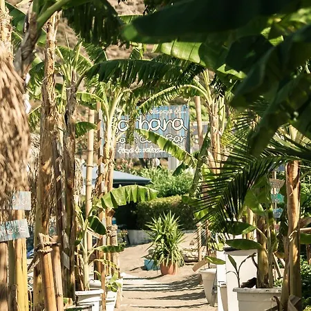 Tsambikos Apts Apartamento Faliraki