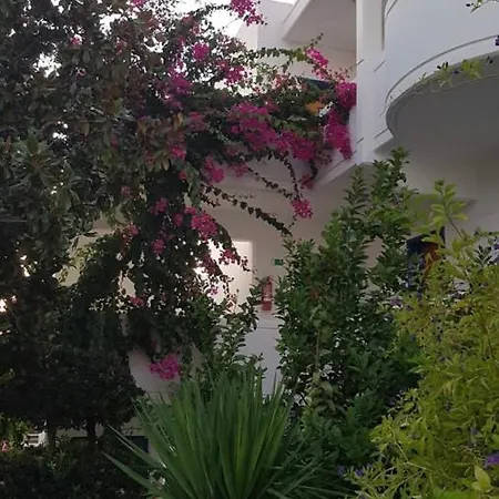 Danae Hotel Hotelli Faliraki