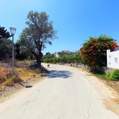 Athina's In Olive Grove Apartment Faliraki