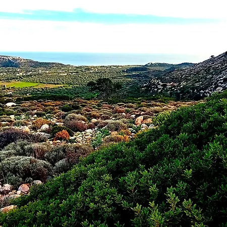 Lucidum Rhodian Hospitality & Gastronomy