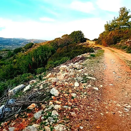 Villa Lucidum Rhodian Hospitality & Gastronomy Faliraki
