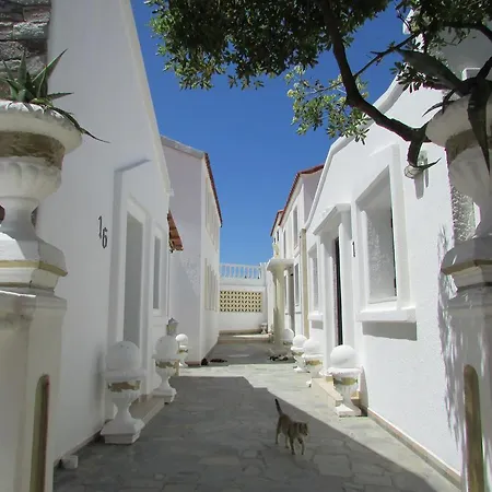 Guest house Castellino Studios