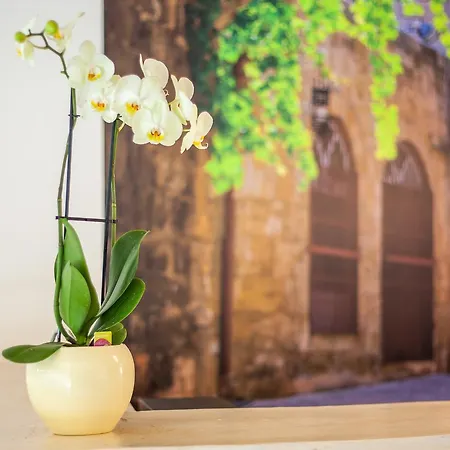 Aparthotel Casa Artemida Boutique 3*