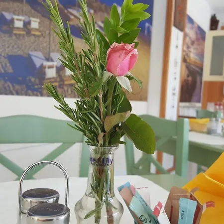 Flame Lily & * Faliraki