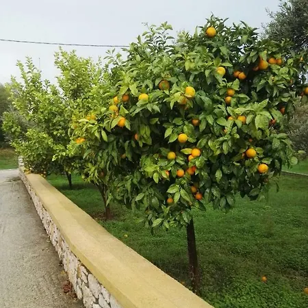 Athina's In Olive Grove Apartment Faliraki
