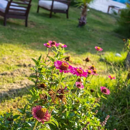 Evita Apart Otel Faliraki